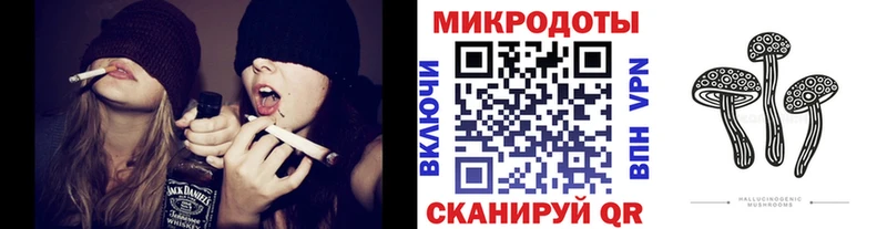 Галлюциногенные грибы Psilocybe  Купить закладки  Малоархангельск 